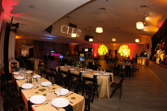 Cleo-1591