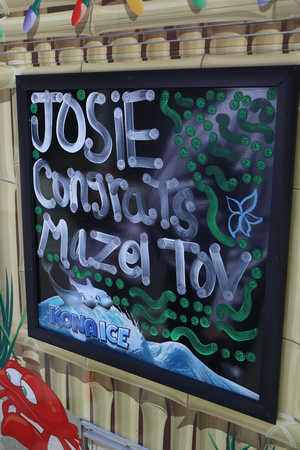 Josie's Bat Mitzvah-2127